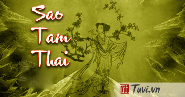 Read more about the article SAO TAM THAI – BÁT TỌA TRONG TỬ VI