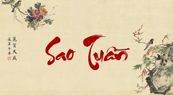 Sao Tuần Không là gì? Ý nghĩa, cách tính & ứng dụng chuyên sâu