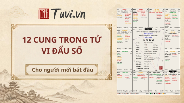 12 Cung Trong Lá Số Tử Vi, Ý Nghĩa, Phạm Vi Và Cách Ứng Dụng