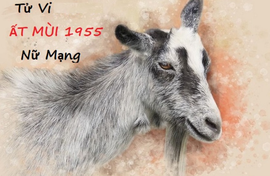 Tử vi trọn đời tuổi Ất Mùi 1955 nữ mạng