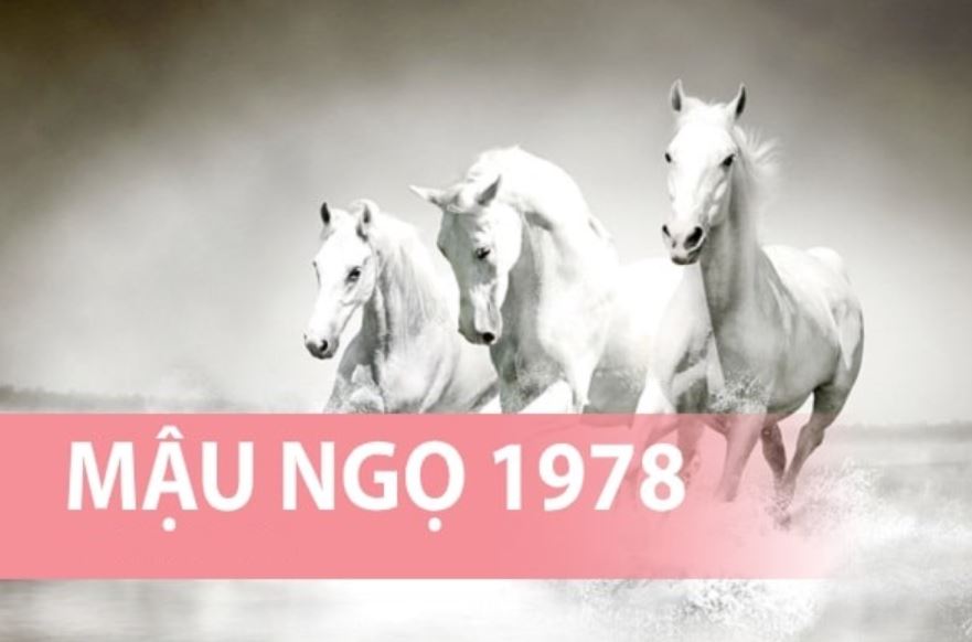 Tử vi trọn đời tuổi Mậu Ngọ 1978 nữ mạng