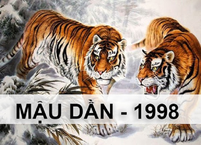 Trang tử vi cổ học hàng đầu Việt Nam