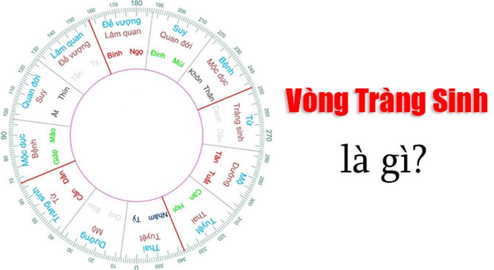 Read more about the article Vòng Tràng Sinh là gì? Luận giải về vòng Tràng Sinh trong Tử Vi chi tiết nhất