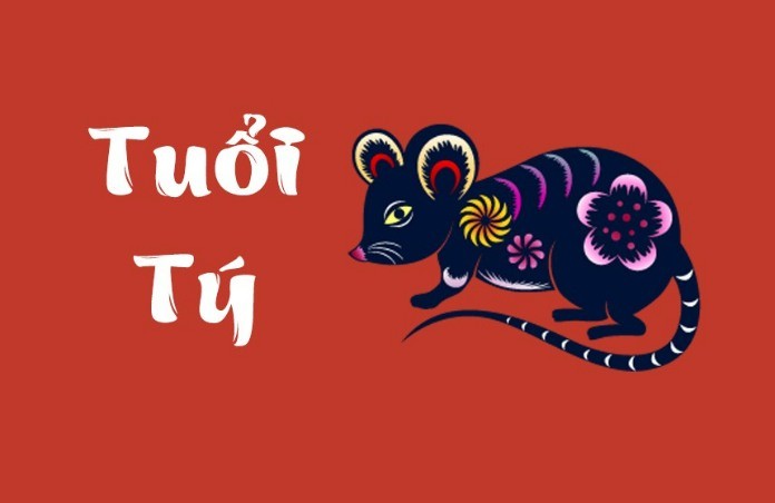 Trang tử vi cổ học hàng đầu Việt Nam