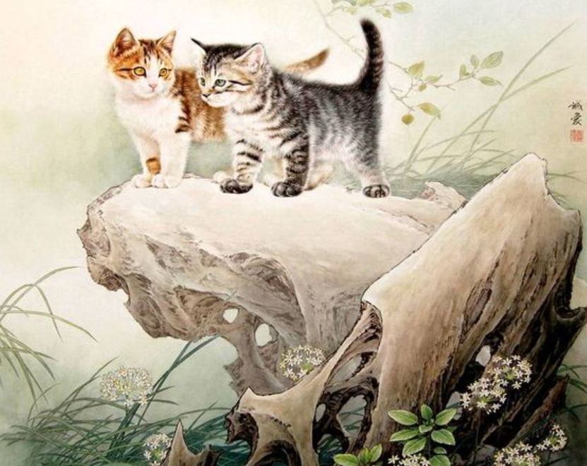 Tử vi trọn đời tuổi Tân Mão 2011 nữ mạng