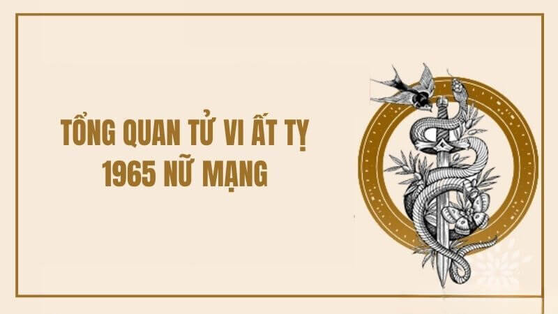 Trang tử vi cổ học hàng đầu Việt Nam