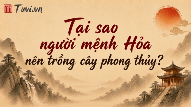 Mệnh Hỏa hợp cây gì? 10 loại cây giúp gia chủ mệnh Hỏa đại cát