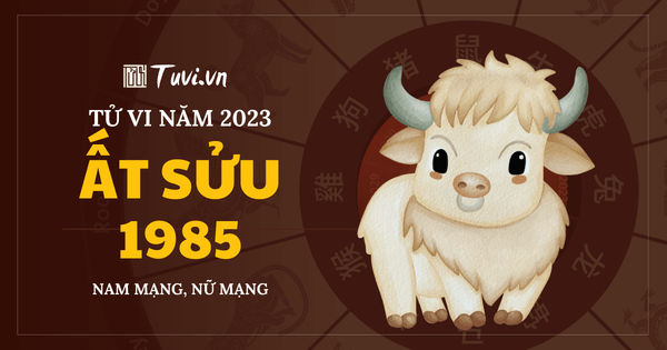 TỬ VI TUỔI ẤT SỬU 1985 MỆNH KIM CUỘC ĐỜI NHIỀU THĂNG TRẦM