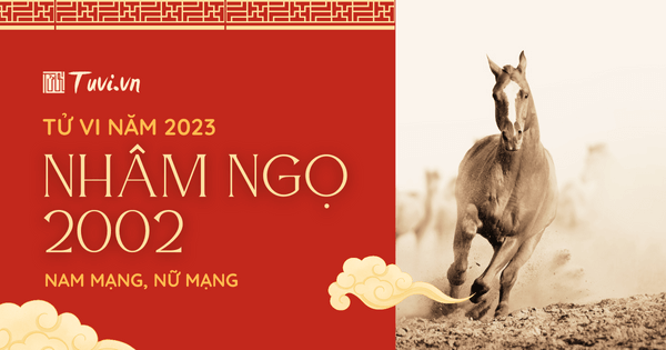 TỬ VI 2026 DÀNH CHO NAM MẠNG NHÂM NGỌ 2002