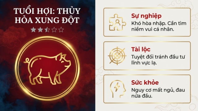 Tử vi tháng 5/2026 tuổi Hợi âm lịch